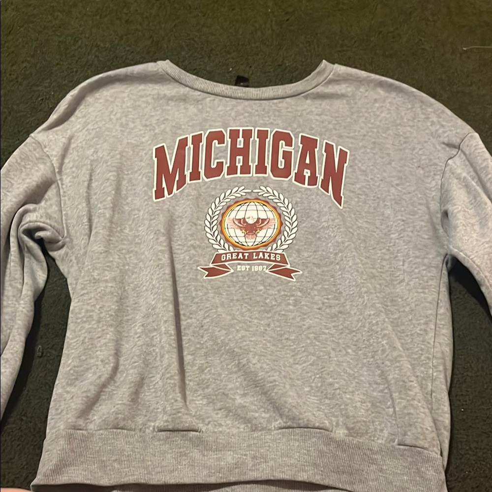 Gray Michigan Graphic Women's Sweater